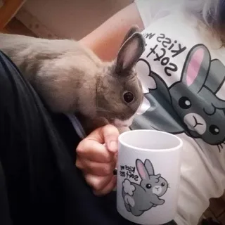 Meminky - T-shirts
