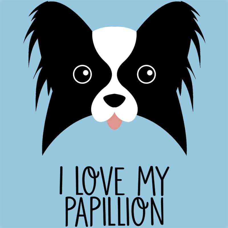 I Love My Papillion