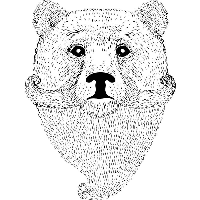 Teddy Beard