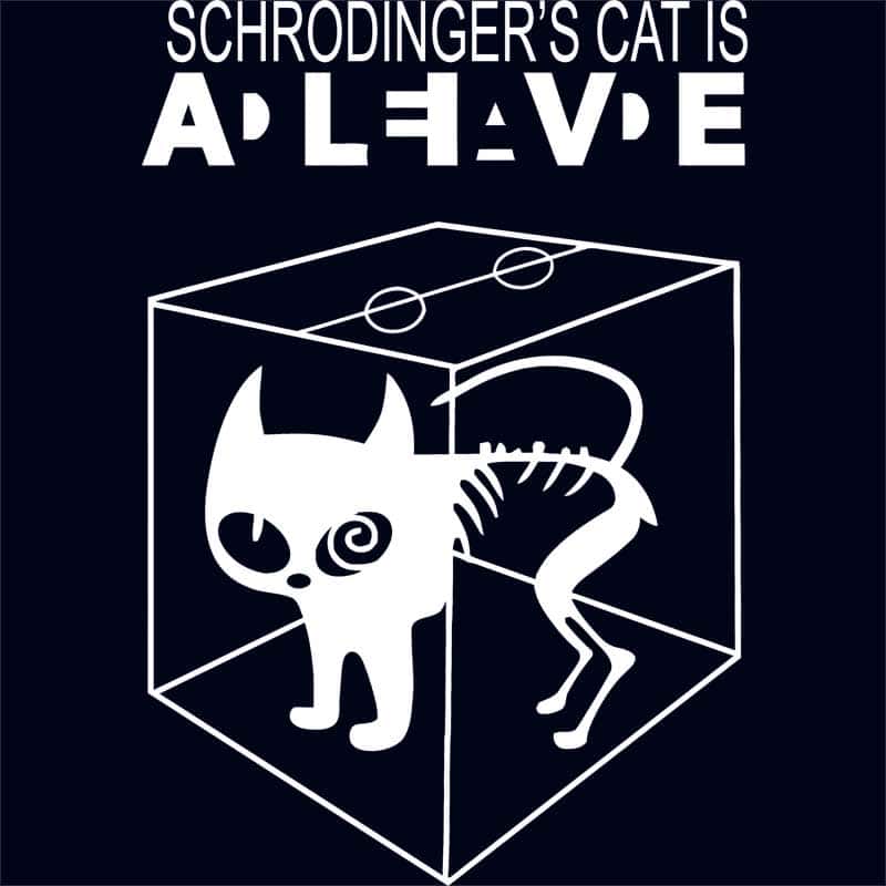 Schrodinger's Cat
