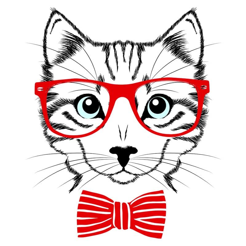 Hipster Cat