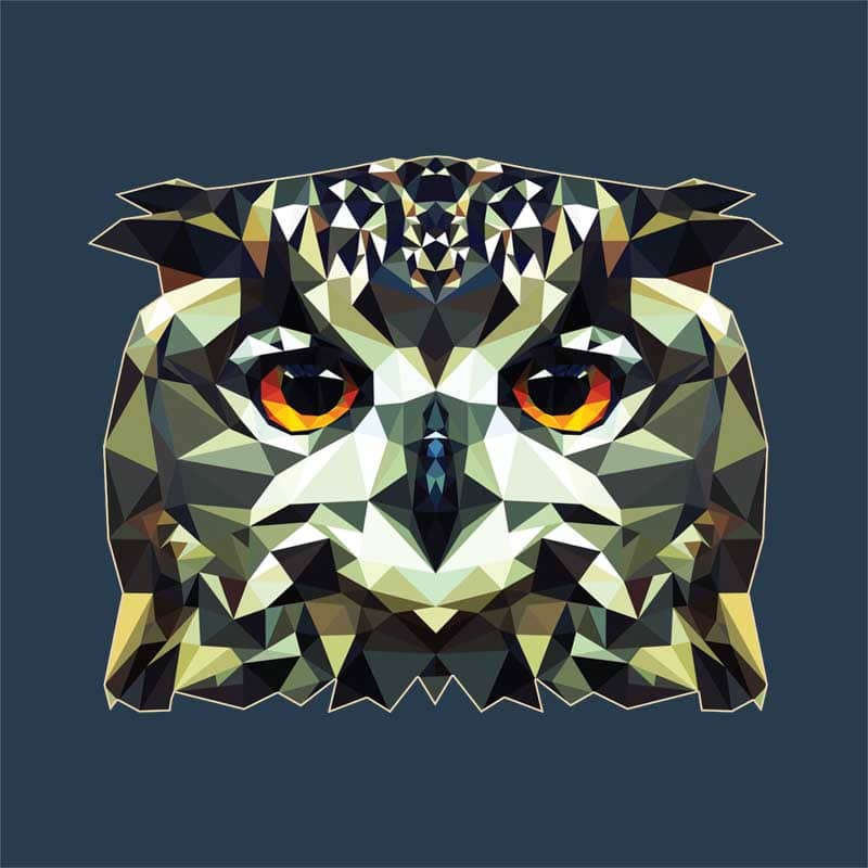 Polygon Owl