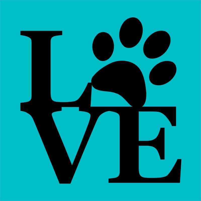 Love Paw