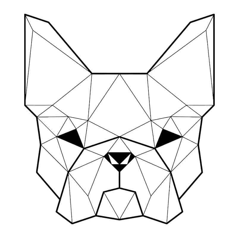 Polygon Dog