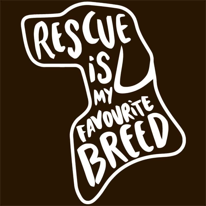 Rescue dog
