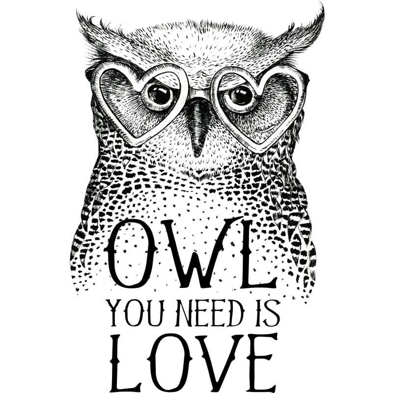 Owl you need is love