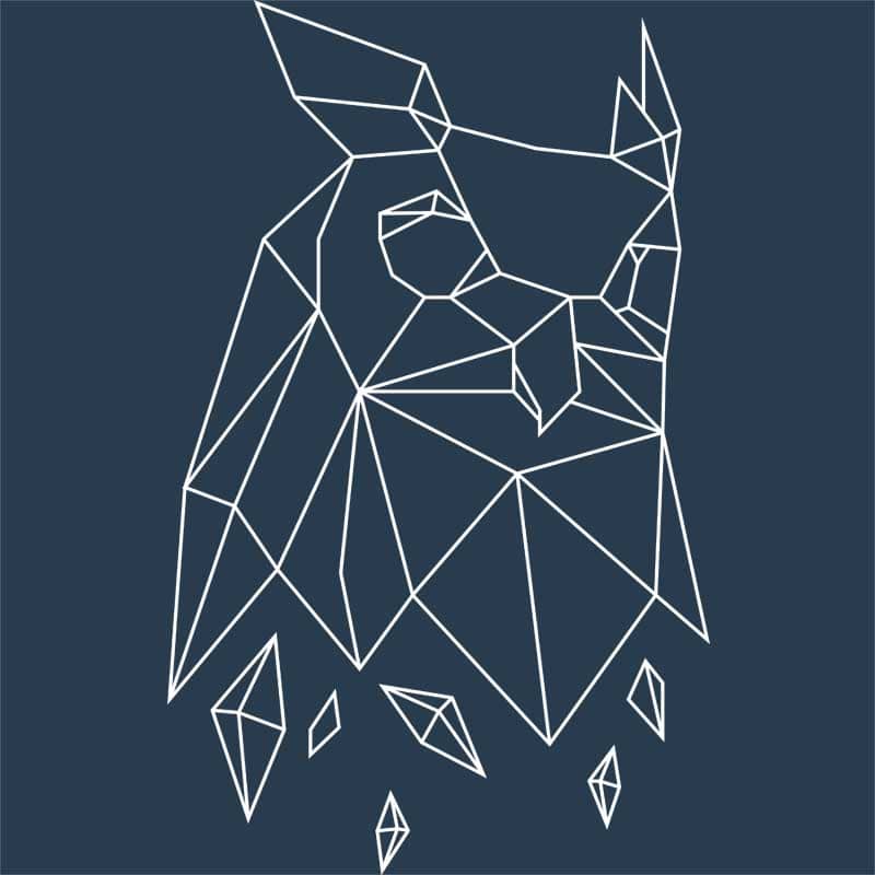 Polygon owl