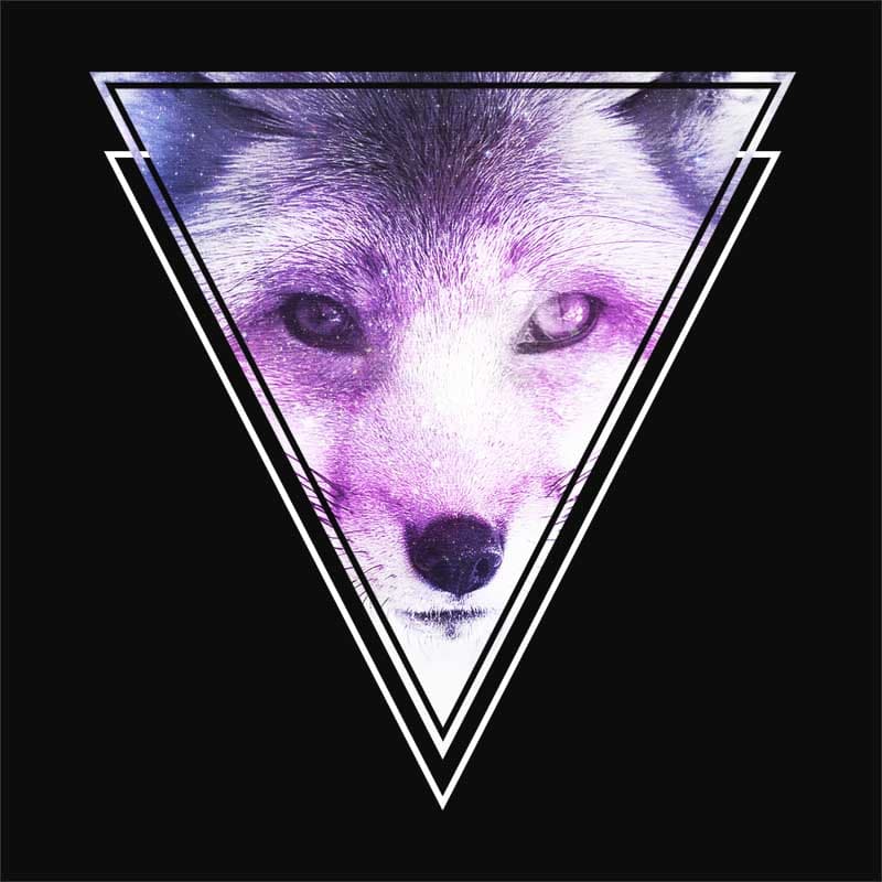 Galaxy geometric fox
