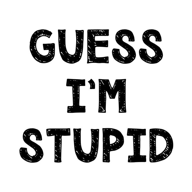 Guess I'm stupid