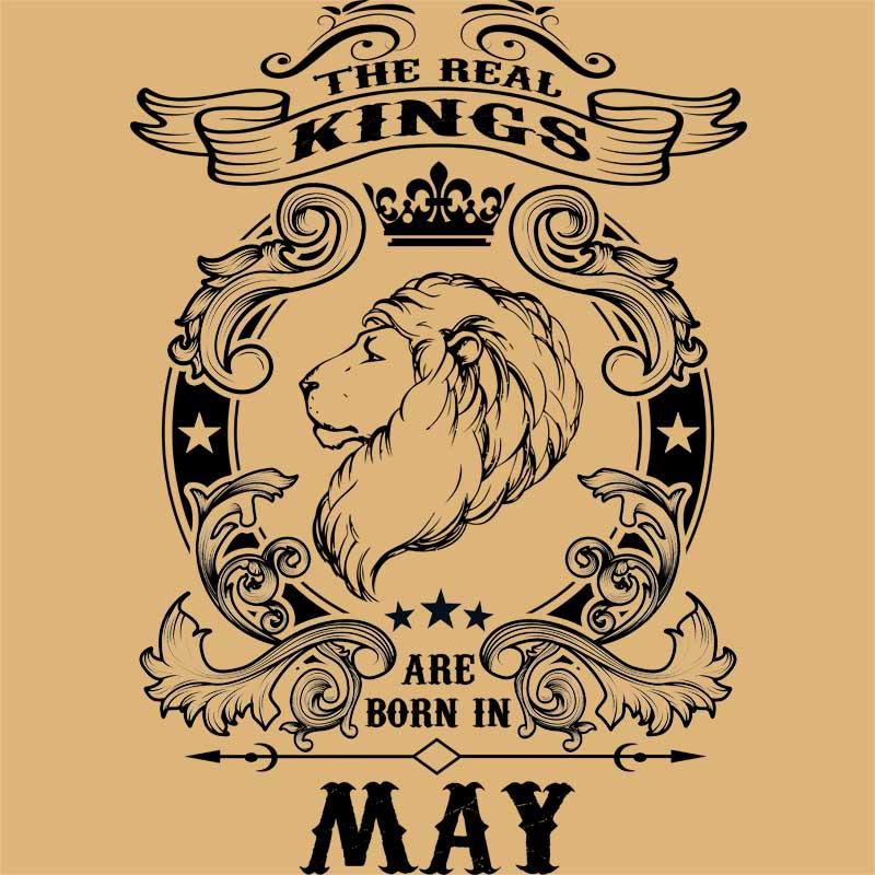 The real king lion may