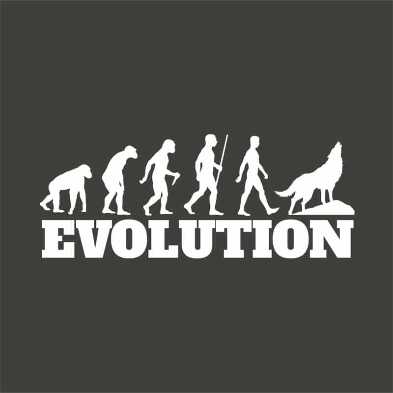 Evolution