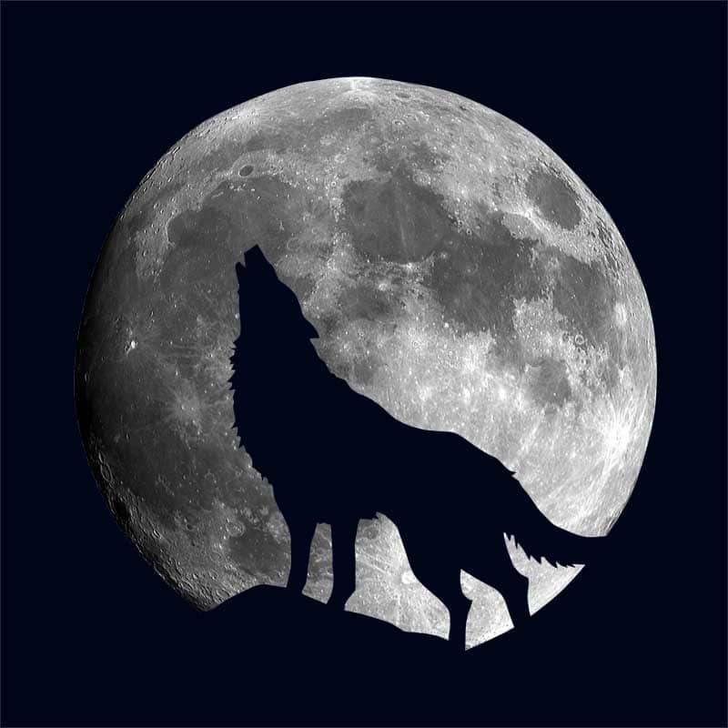 Moon Wolf