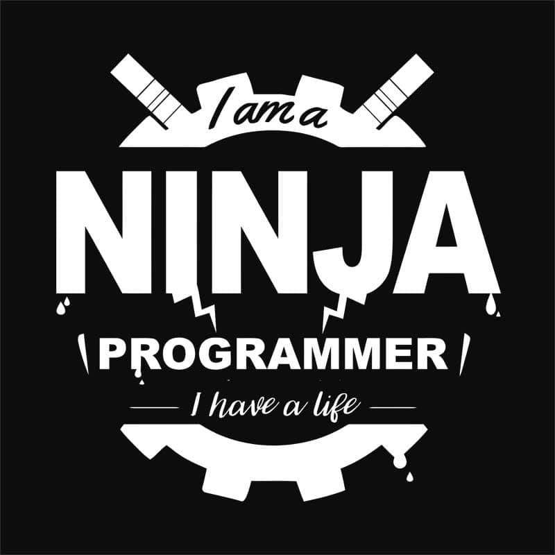 Ninja programmer