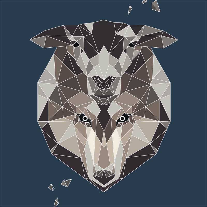 Polygon lamb disguise