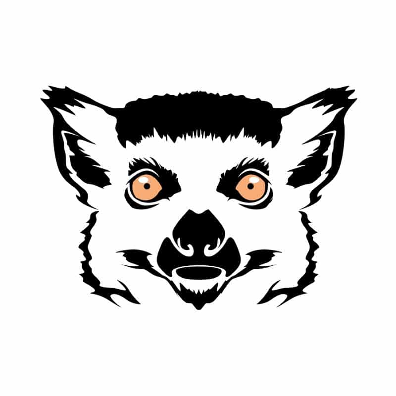 Lemur face