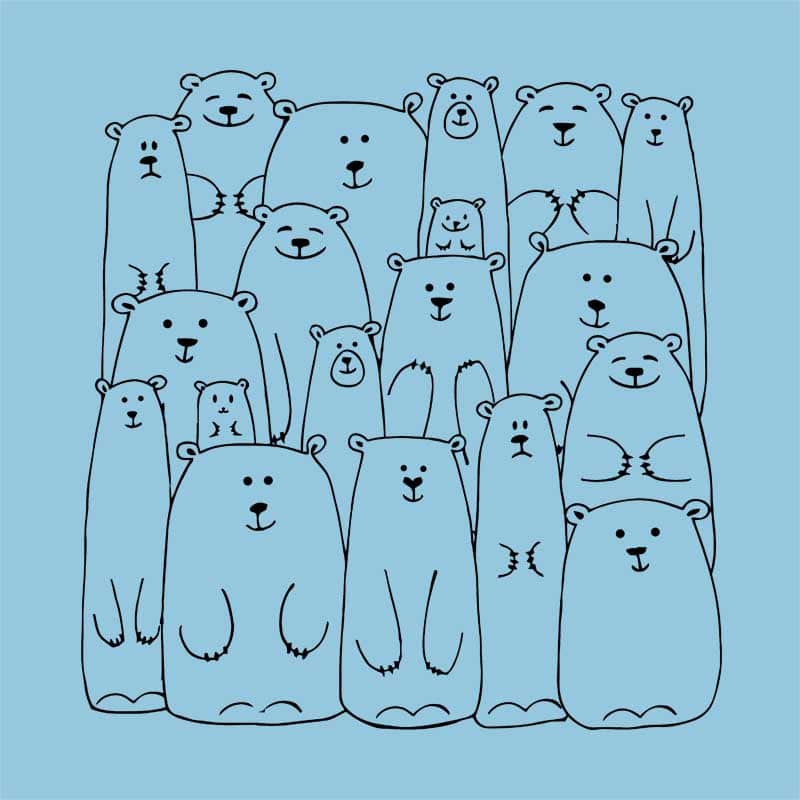 Bears