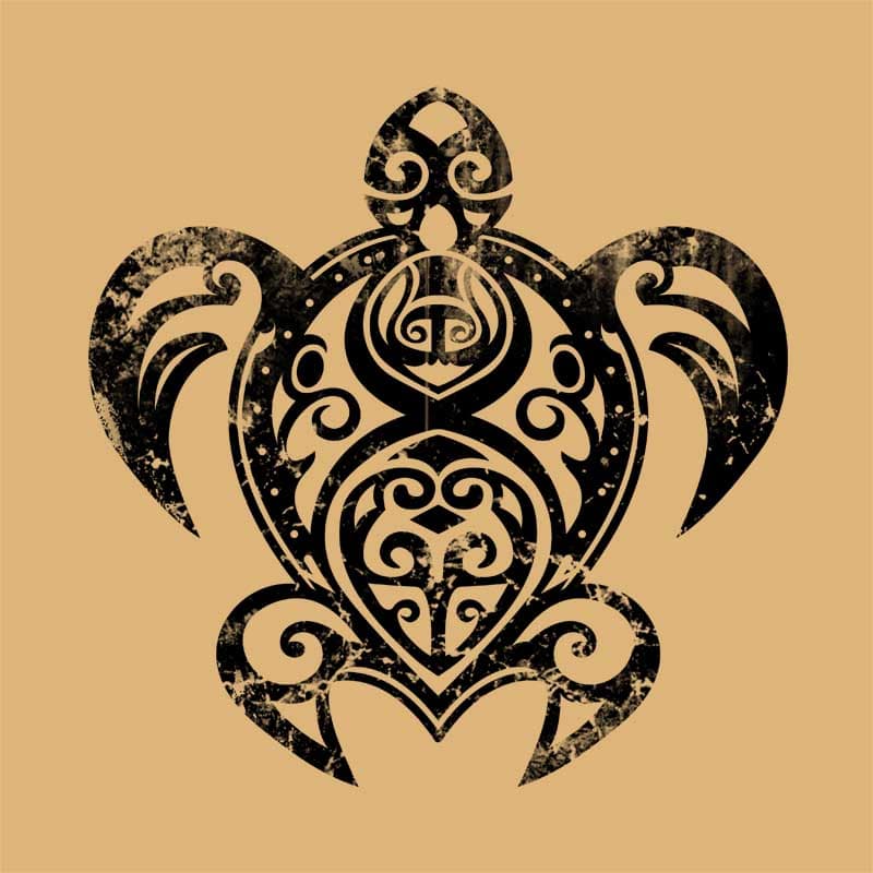 Maori turtle
