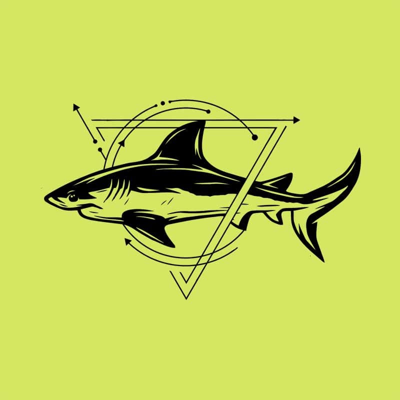 Geometric shark