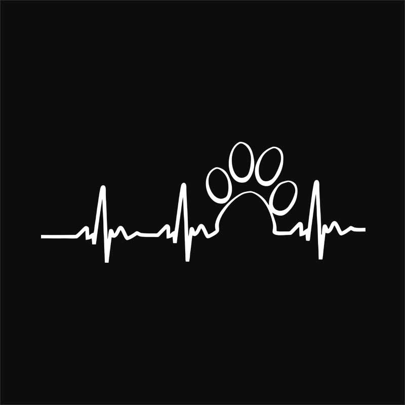 Paw heartbeat