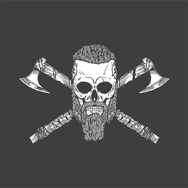 Viking skull