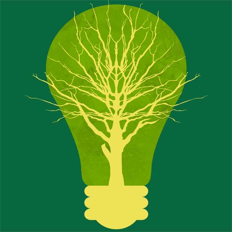 Green Bulb