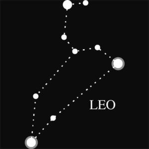 Leo constellation - Design preview