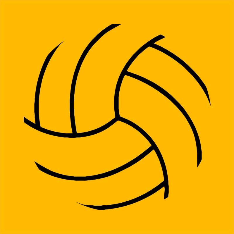 Water Polo Ball