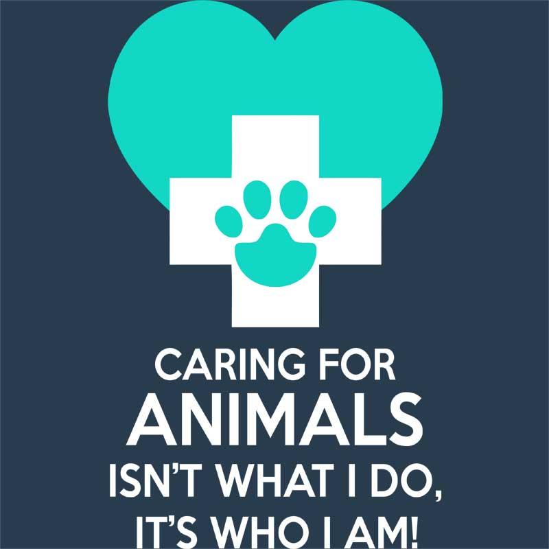 Caring for animals