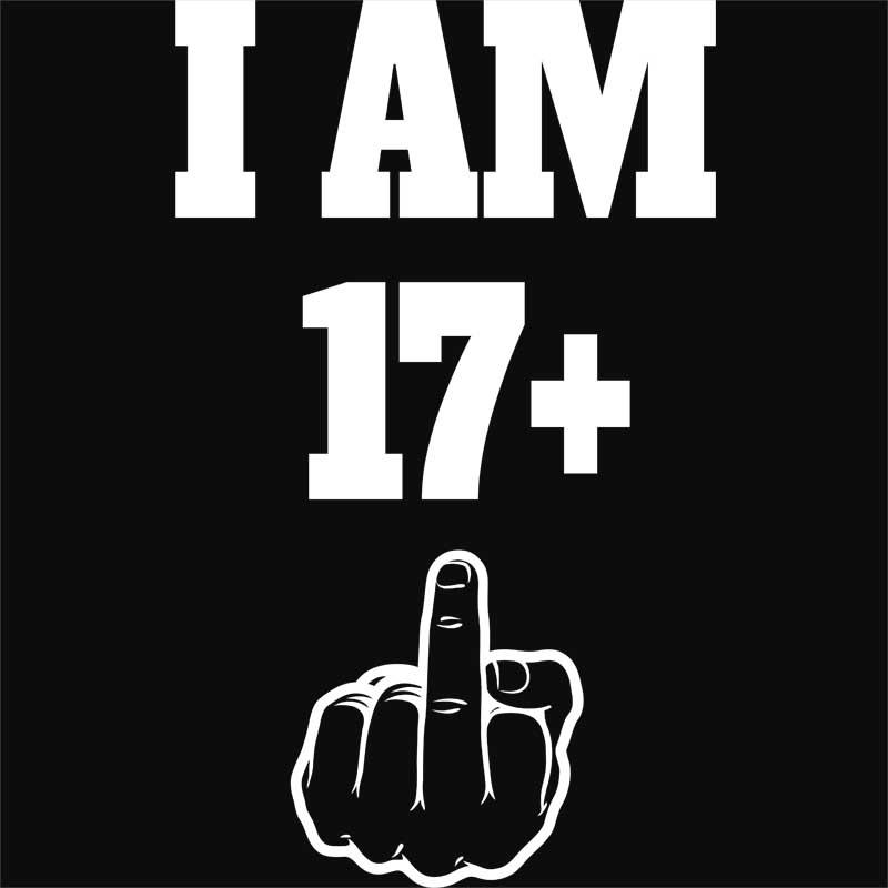 I am 17