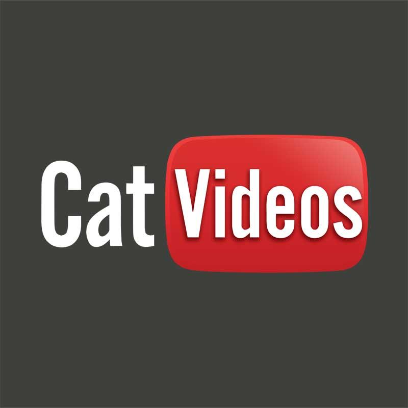 Cat Videos