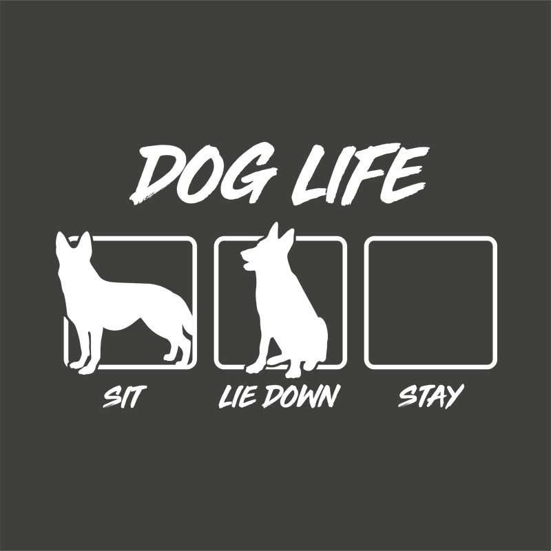 Dog life