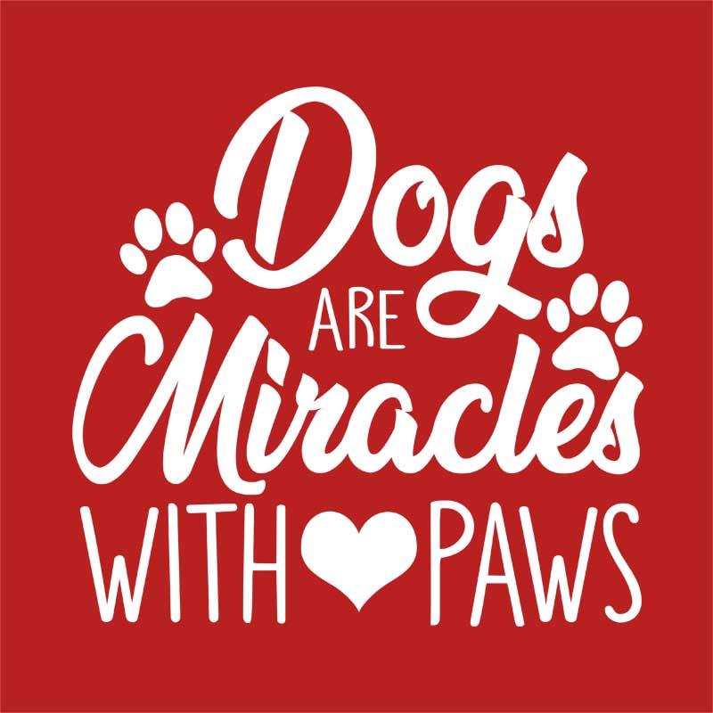 Dogs are miracles