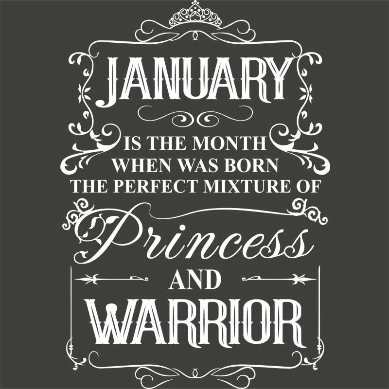 Princess Warrior January
