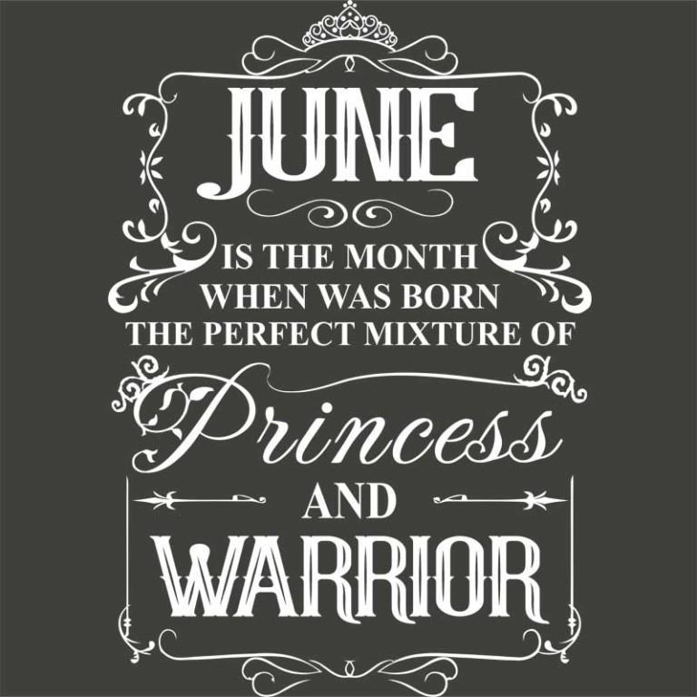 Princess Warrior June - Design preview