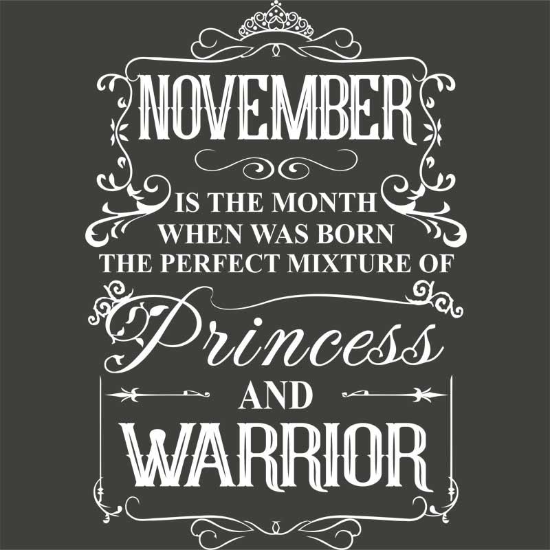 Princess Warrior November