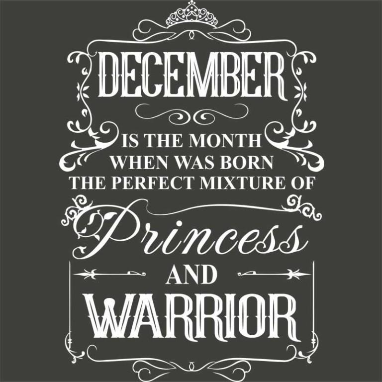 Princess Warrior December - Design preview