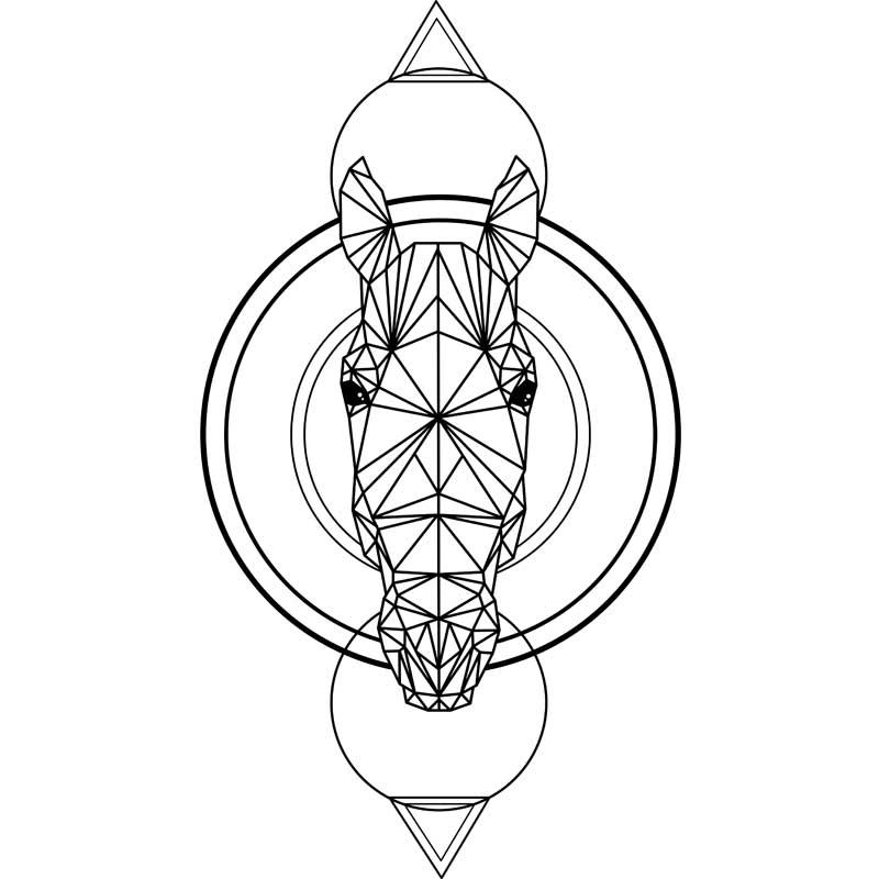 Polygon horse