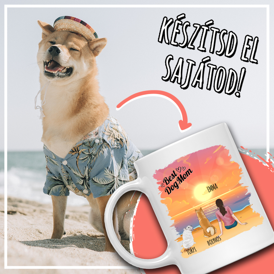 With pet on the beach - one person - MyLife