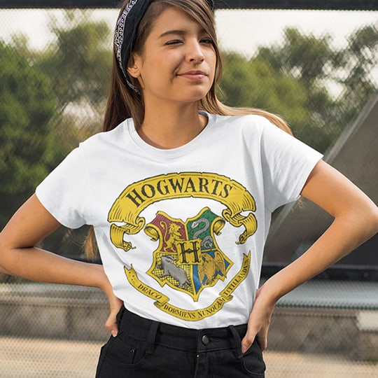 For Harry Potter fans