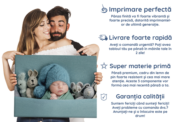 Tablou canvas personalizat Meminky